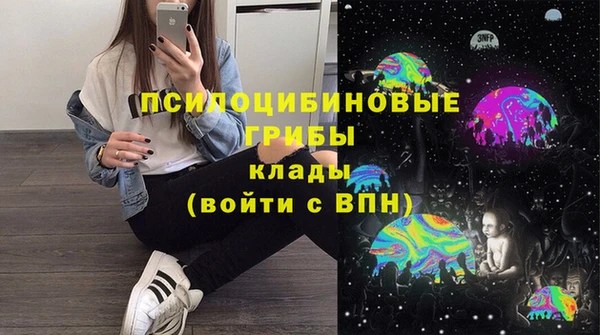 твердый Аркадак