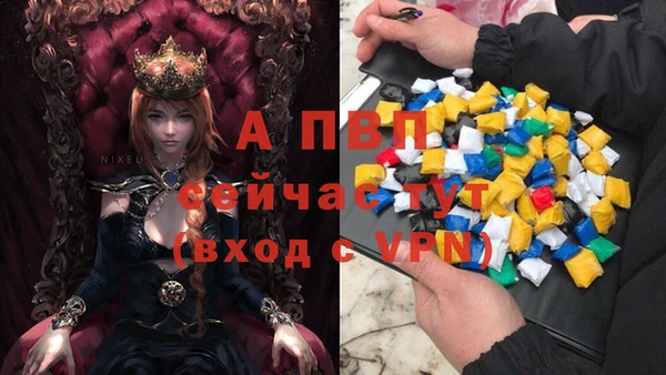 твердый Аркадак