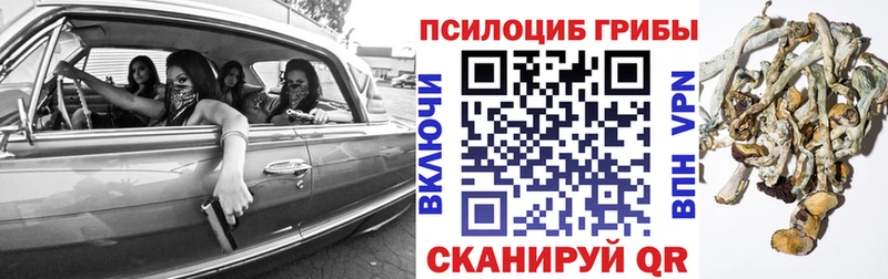 Купить закладки  Мамоново  Галлюциногенные грибы ЛСД 